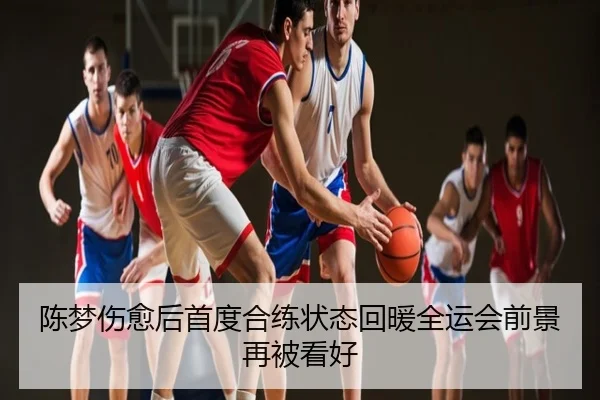 陈梦伤愈后首度合练状态回暖全运会前景再被看好